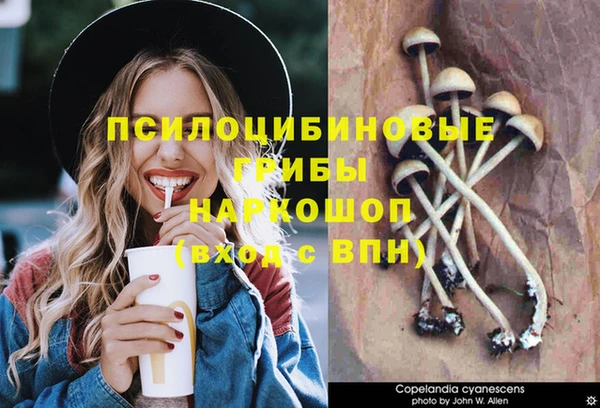 ГАЛЛЮЦИНОГЕННЫЕ ГРИБЫ Михайловск