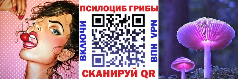 Псилоцибиновые грибы мицелий  блэк спрут   даркнет формула  Сольвычегодск 